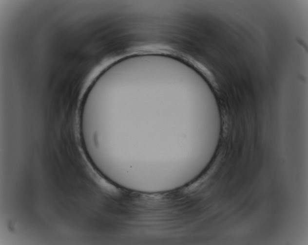 X0000095691470200801081028