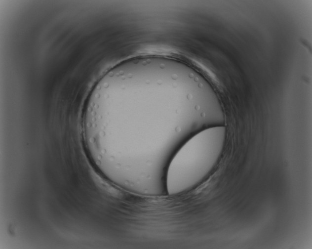 X0000095691471200801081028