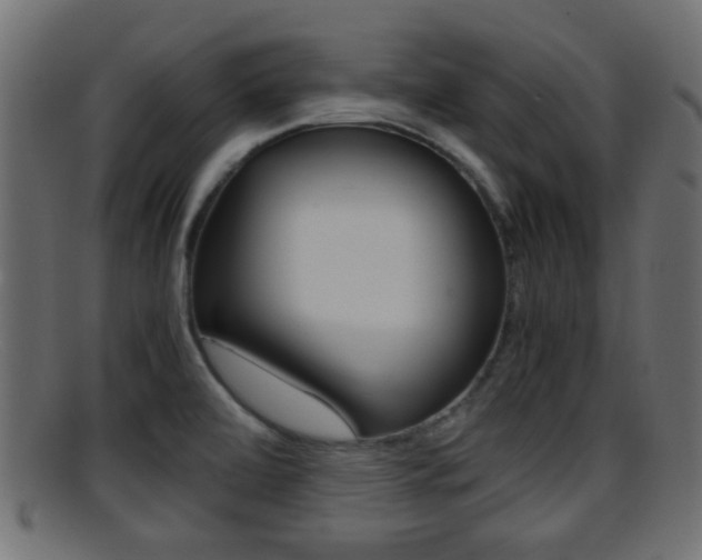 X0000095691472200801081028