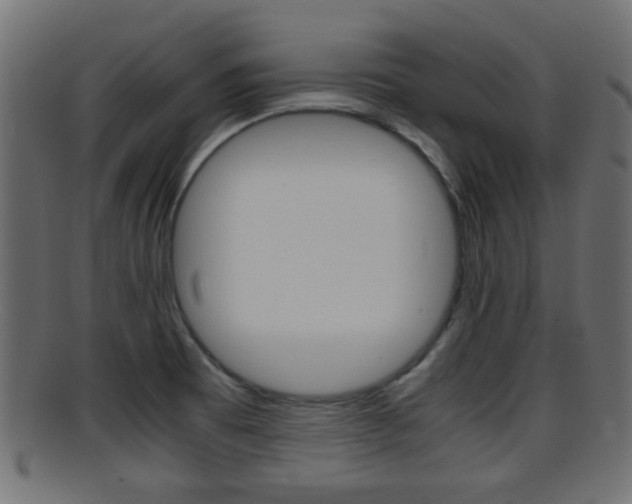X0000095691473200801081028
