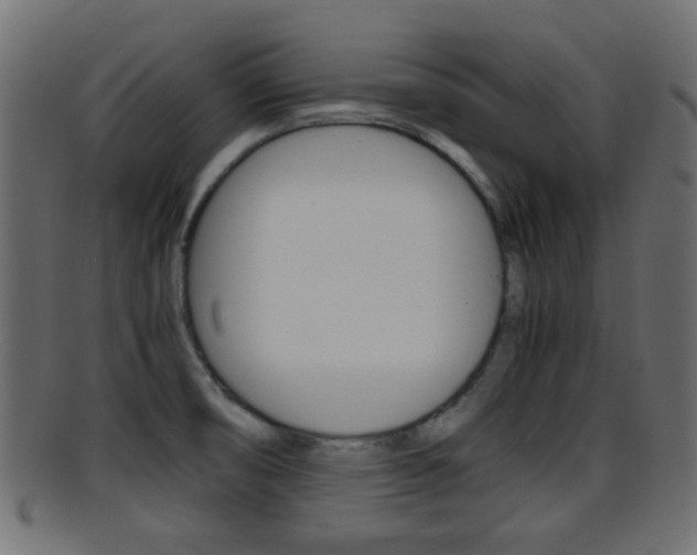 X0000095691474200801081028