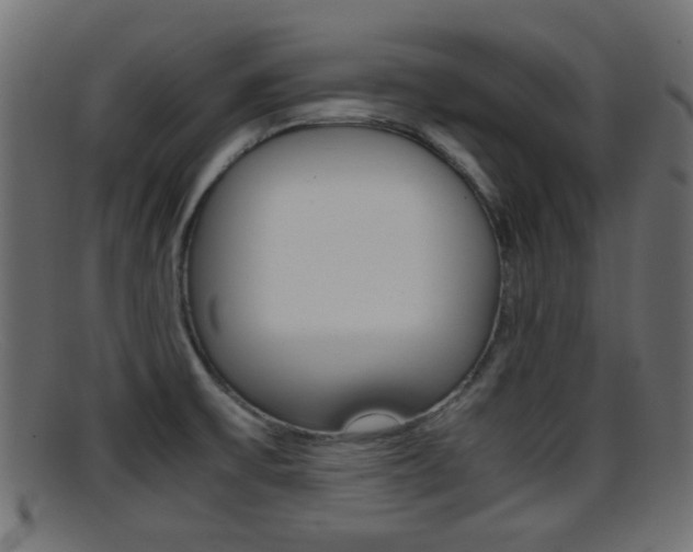 X0000095691475200801081028
