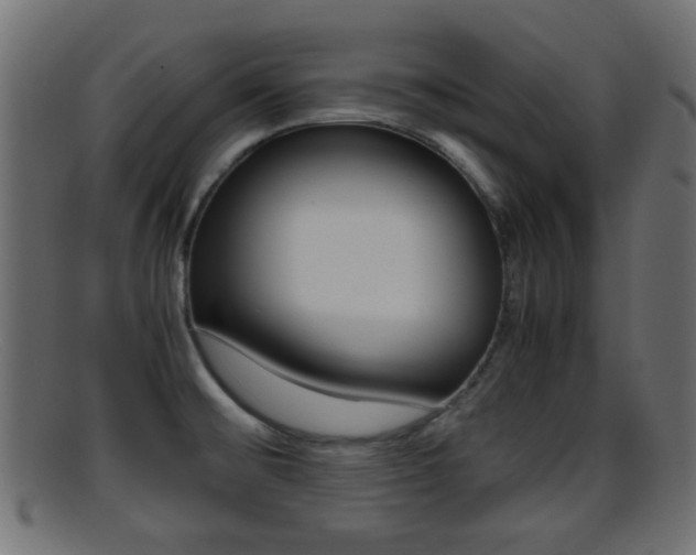 X0000095691476200801081028