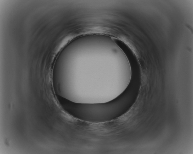 X0000095691477200801081028