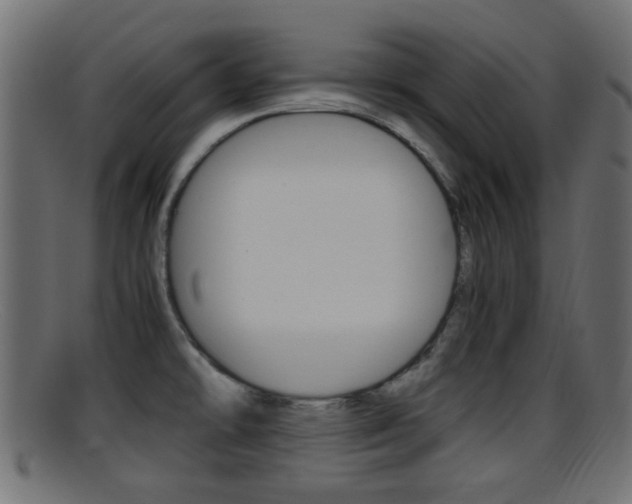 X0000095691478200801081028
