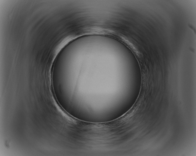 X0000095691479200801081028