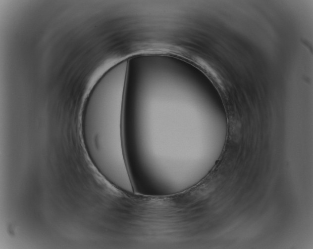 X0000095691480200801081028