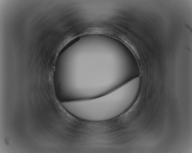 X0000095691481200801081028