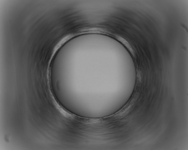 X0000095691482200801081028