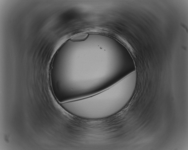 X0000095691483200801081028