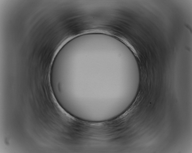 X0000095691484200801081028