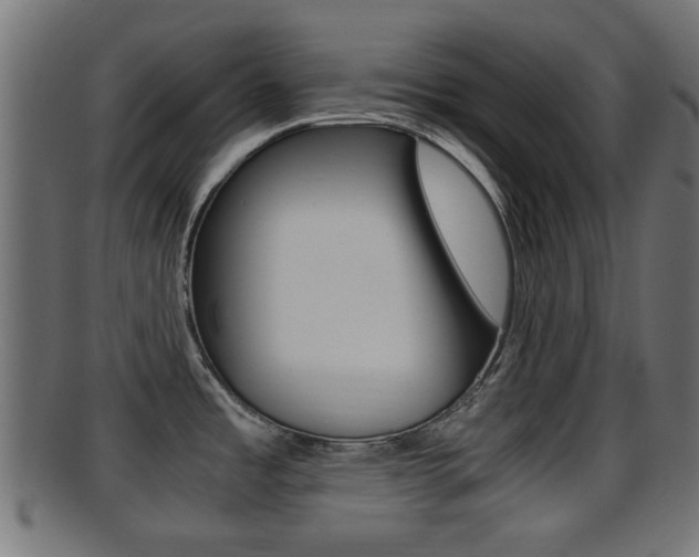 X0000095691485200801081028