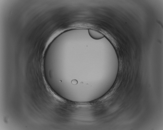 X0000095691486200801081028