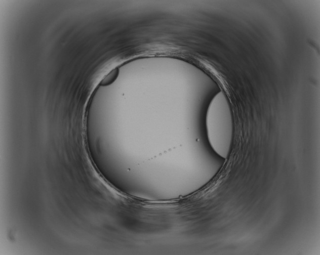 X0000095691487200801081028
