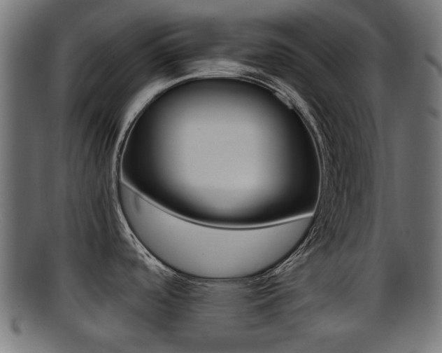 X0000095691488200801081028