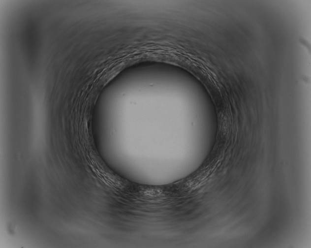 X0000095691489200801081027