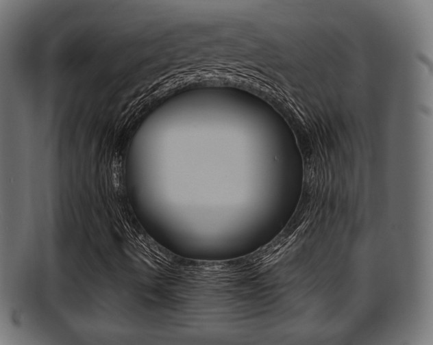 X0000095691490200801081027