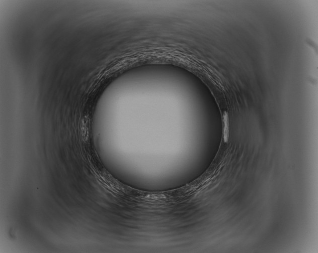 X0000095691491200801081027