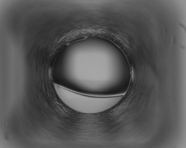 X0000095691492200801081027