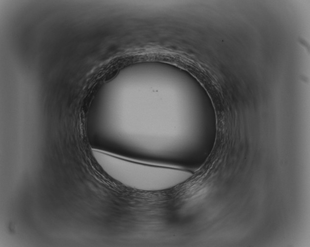 X0000095691493200801081027