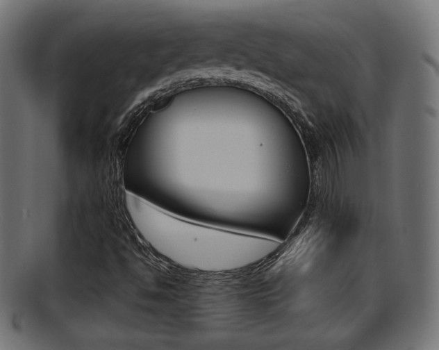 X0000095691494200801081027