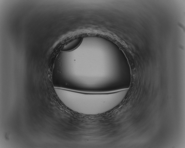 X0000095691495200801081027