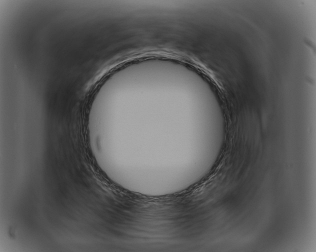 X0000095691496200801081027