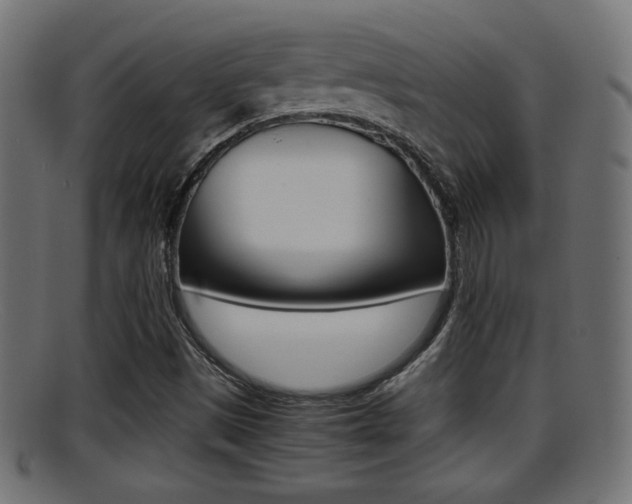 X0000095691497200801081027