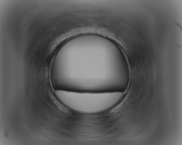 X0000095691499200801081027