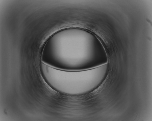 X0000095691500200801081027