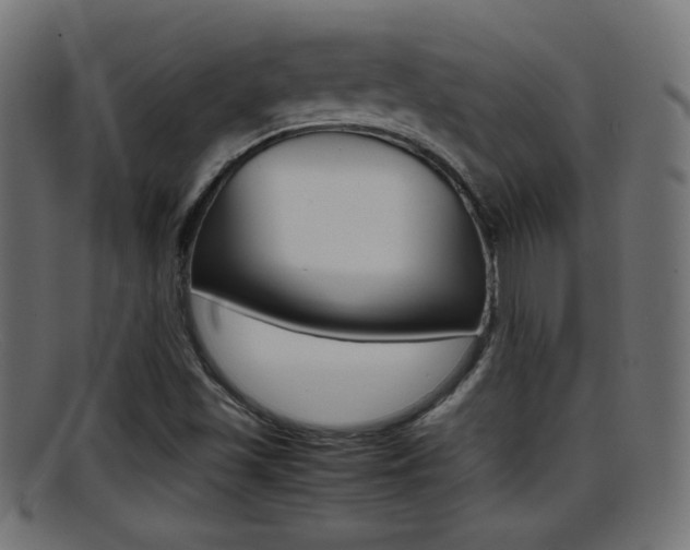 X0000095691501200801081027