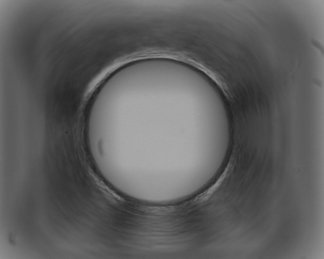 X0000095691502200801081027