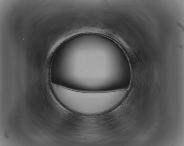 X0000095691504200801081027