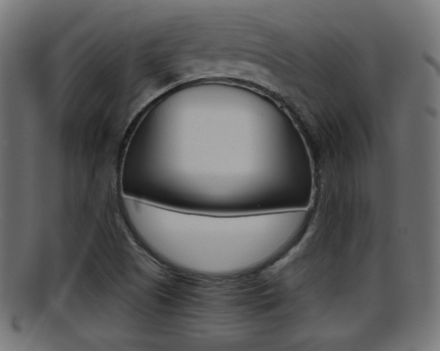 X0000095691505200801081027
