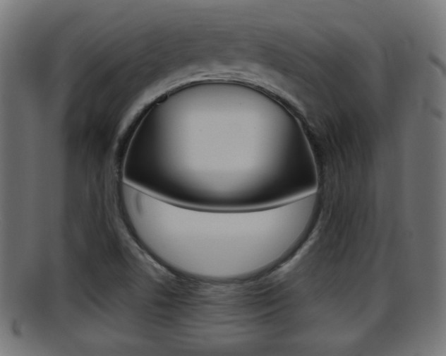 X0000095691506200801081027