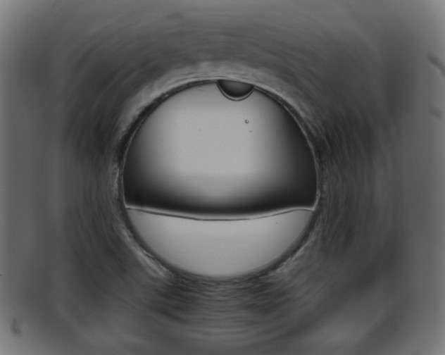 X0000095691507200801081027