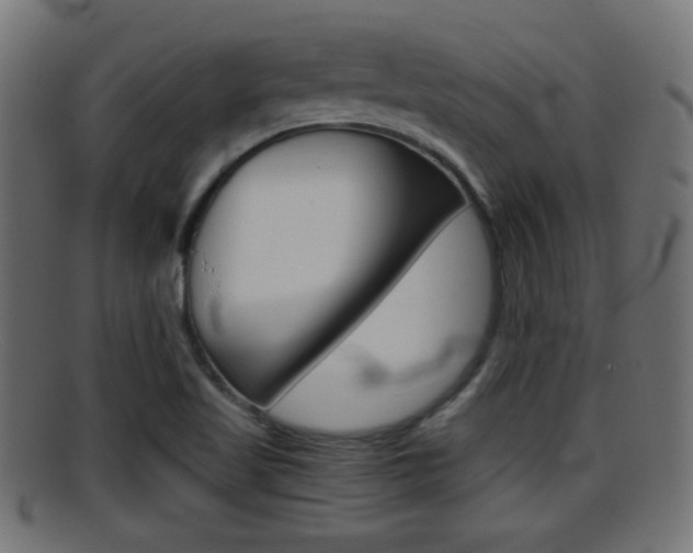 X0000095691509200801081027