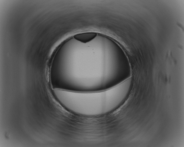 X0000095691510200801081027
