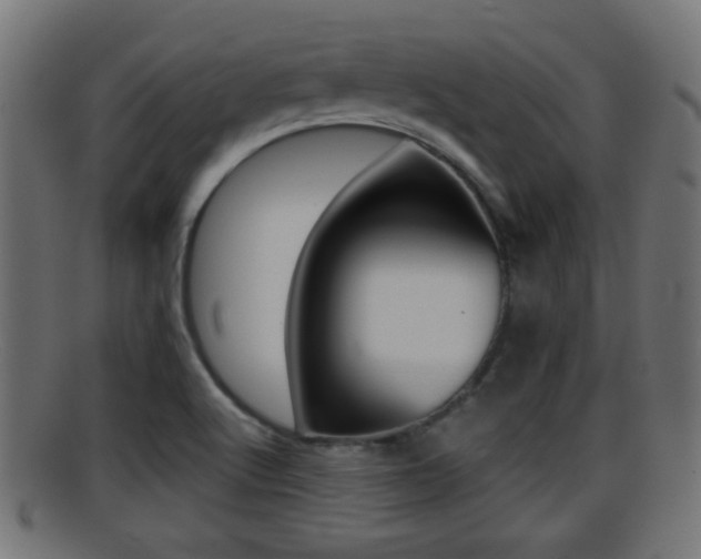 X0000095691512200801081027