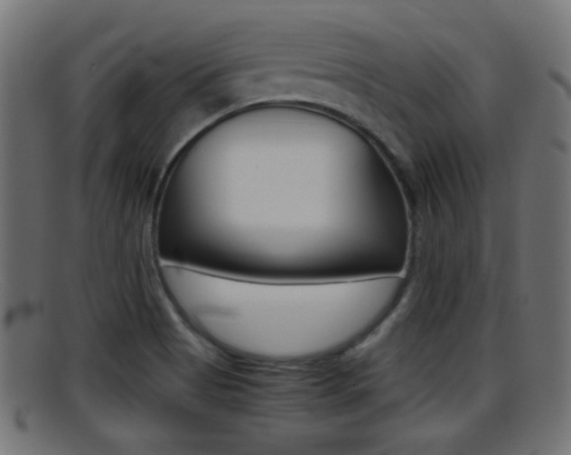 X0000095691513200801081028