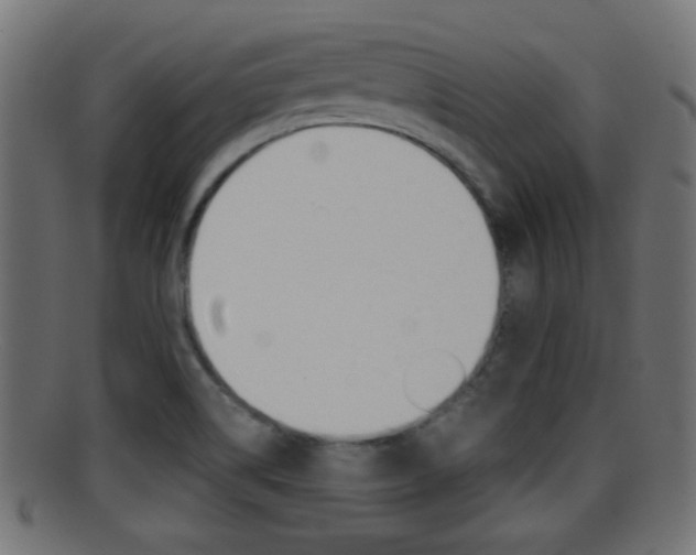 X0000095691514200801081028