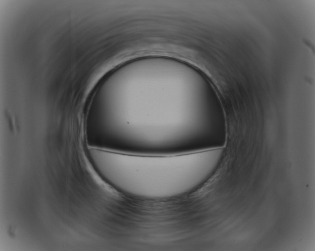 X0000095691515200801081028