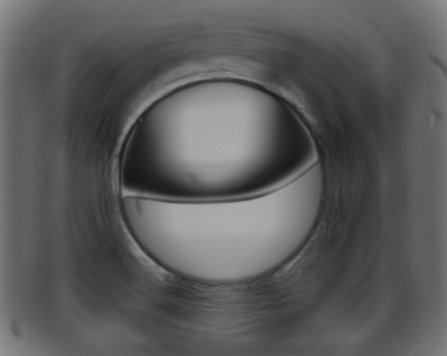 X0000095691516200801081028