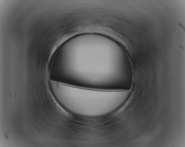 X0000095691517200801081028
