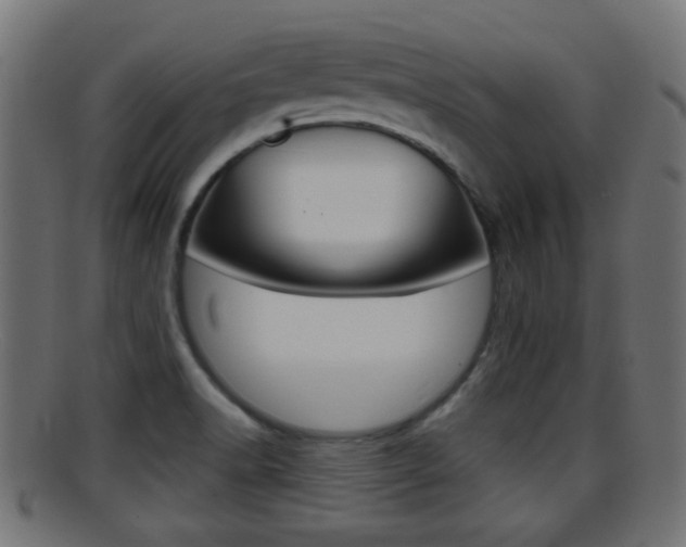 X0000095691518200801081028