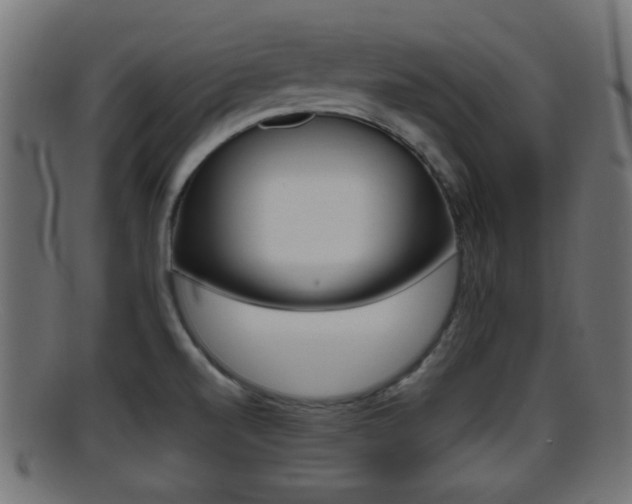 X0000095691520200801081028