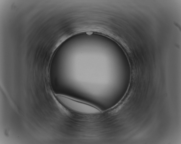 X0000095691521200801081028