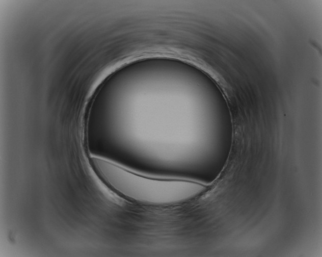X0000095691523200801081028
