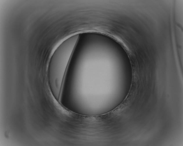 X0000095691524200801081028