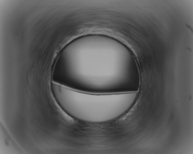 X0000095691525200801081028